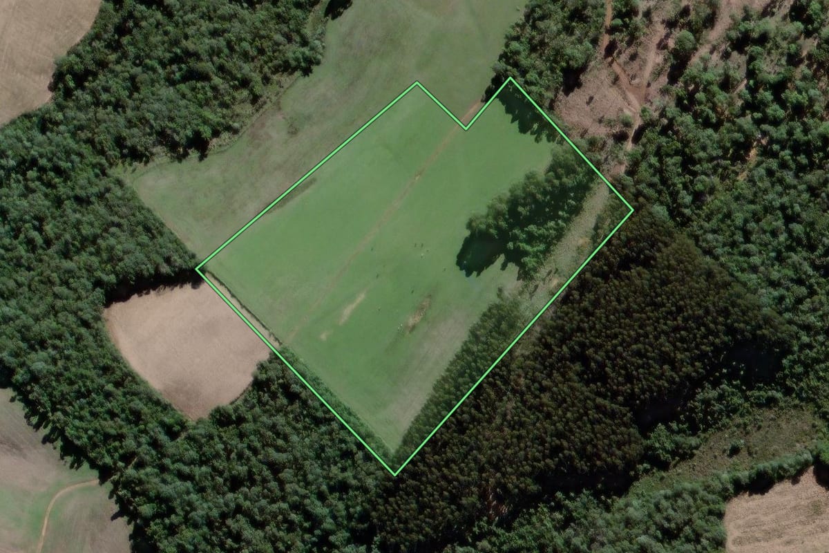 Imagem de satélite do imóvel rural em Antônio Olinto (PR), com o contorno declarado no CAR desenhado por cima.