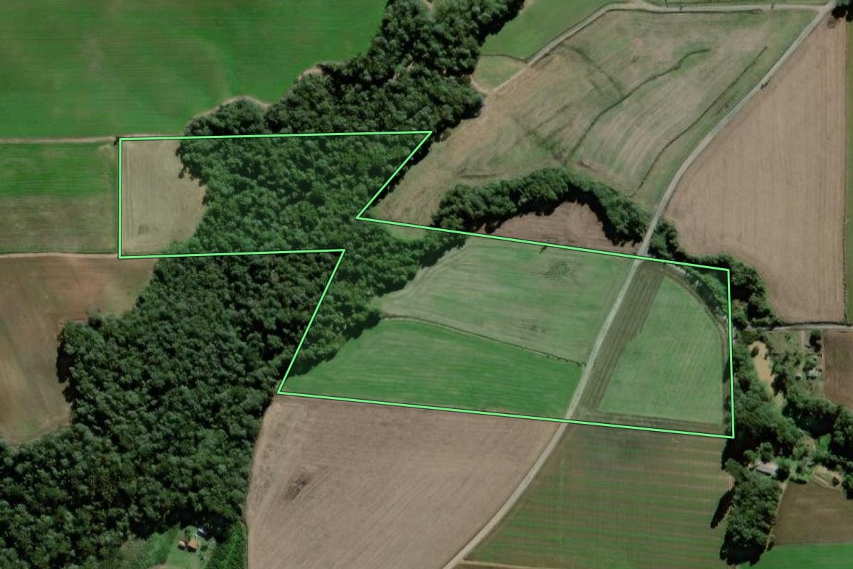 Imagem de satélite do imóvel rural em Antônio Olinto (PR), com o contorno declarado no CAR desenhado por cima.