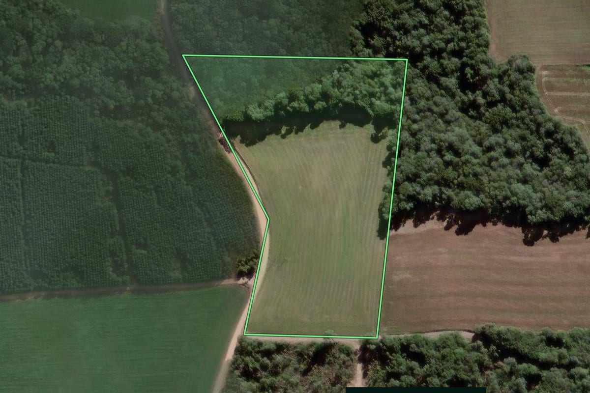 Imagem de satélite do imóvel rural em Antônio Olinto (PR), com o contorno declarado no CAR desenhado por cima.