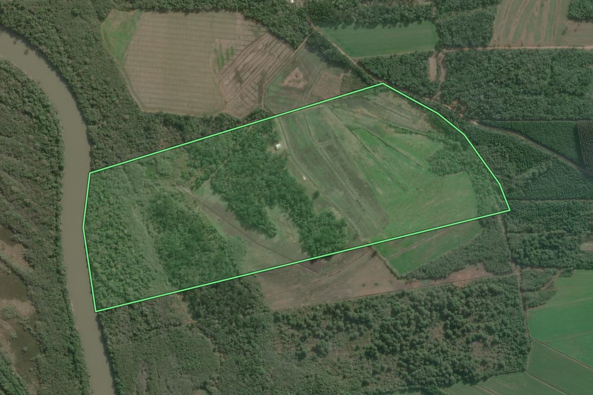 Imagem de satélite do imóvel rural em Antônio Olinto (PR), com o contorno declarado no CAR desenhado por cima.