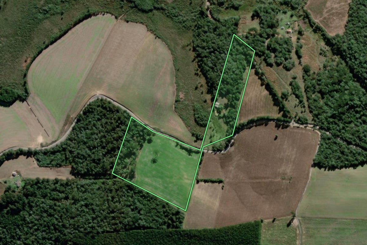 Imagem de satélite do imóvel rural em Antônio Olinto (PR), com o contorno declarado no CAR desenhado por cima.