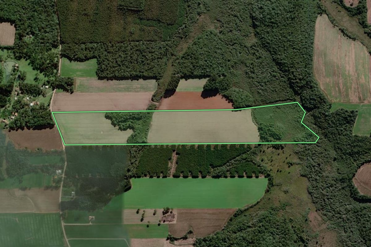 Imagem de satélite do imóvel rural em Antônio Olinto (PR), com o contorno declarado no CAR desenhado por cima.