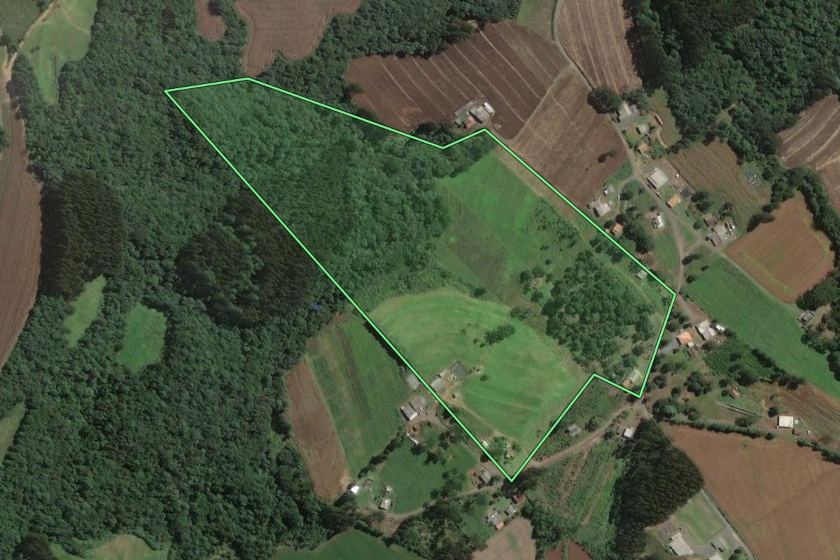 Imagem de satélite do imóvel rural em Antônio Olinto (PR), com o contorno declarado no CAR desenhado por cima.