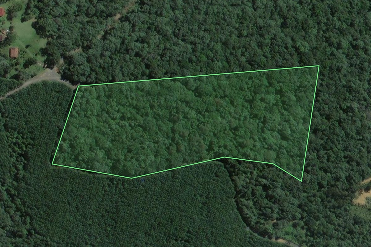 Imagem de satélite do imóvel rural em Antônio Olinto (PR), com o contorno declarado no CAR desenhado por cima.