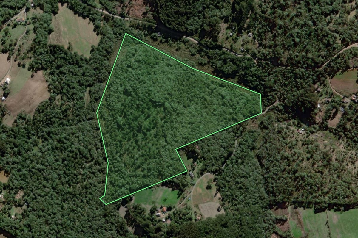 Imagem de satélite do imóvel rural em Antônio Olinto (PR), com o contorno declarado no CAR desenhado por cima.