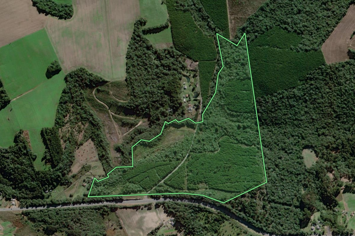 Imagem de satélite do imóvel rural em Antônio Olinto (PR), com o contorno declarado no CAR desenhado por cima.