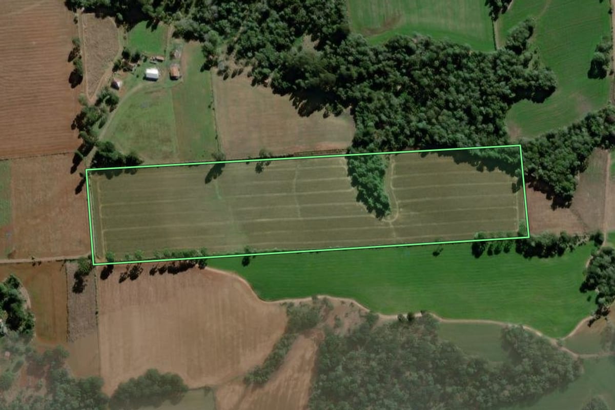 Imagem de satélite do imóvel rural em Antônio Olinto (PR), com o contorno declarado no CAR desenhado por cima.