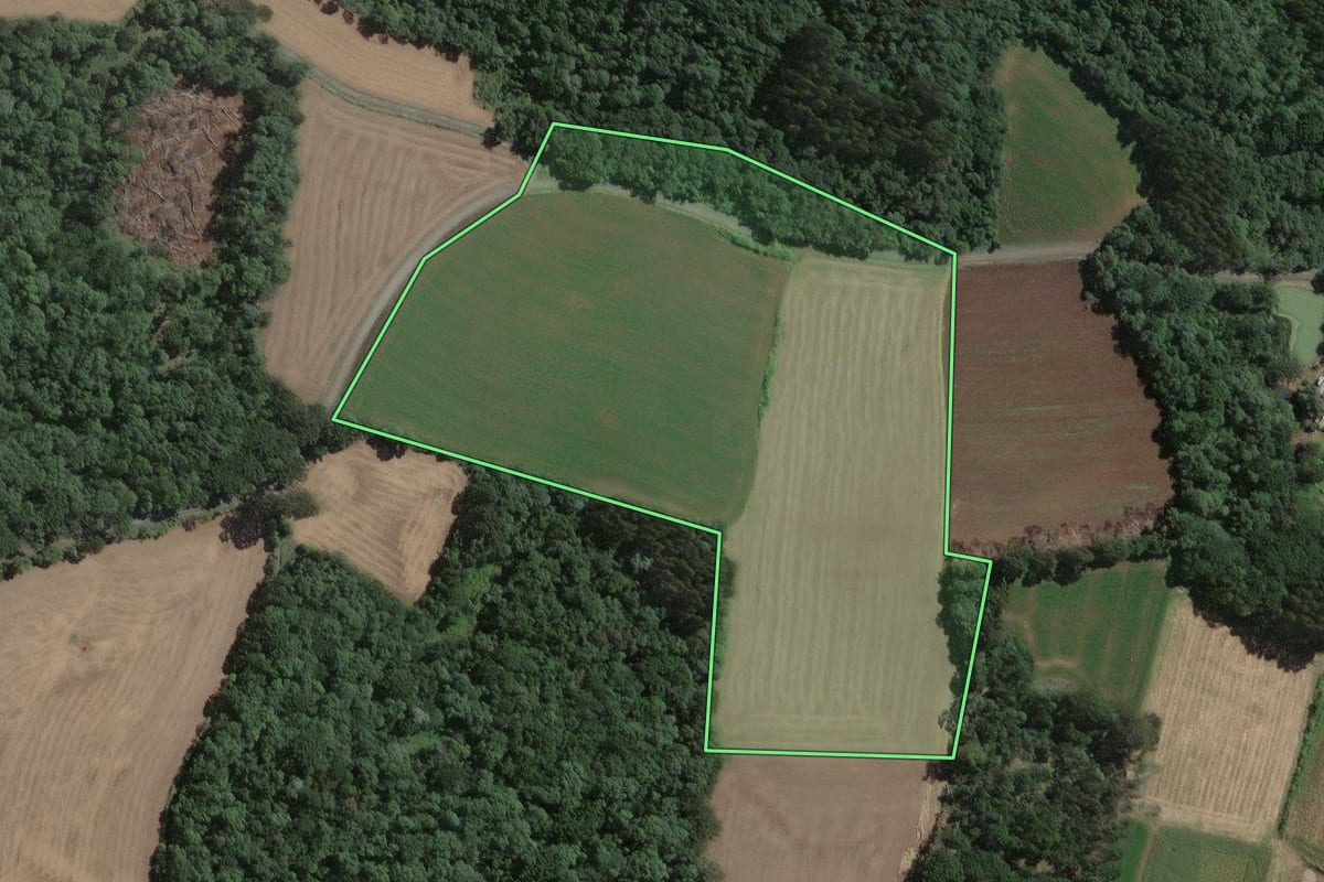 Imagem de satélite do imóvel rural em Antônio Olinto (PR), com o contorno declarado no CAR desenhado por cima.