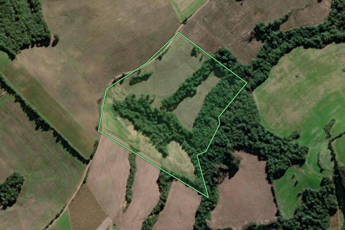 Imagem de satélite do imóvel rural em Antônio Olinto (PR), com o contorno declarado no CAR desenhado por cima.