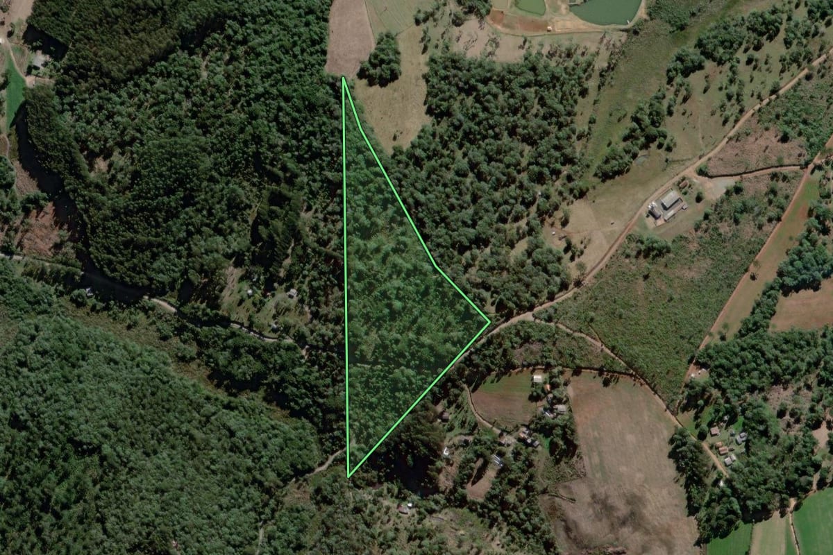 Imagem de satélite do imóvel rural em Antônio Olinto (PR), com o contorno declarado no CAR desenhado por cima.