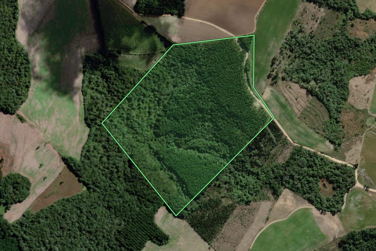 Imagem de satélite do imóvel rural em Antônio Olinto (PR), com o contorno declarado no CAR desenhado por cima.