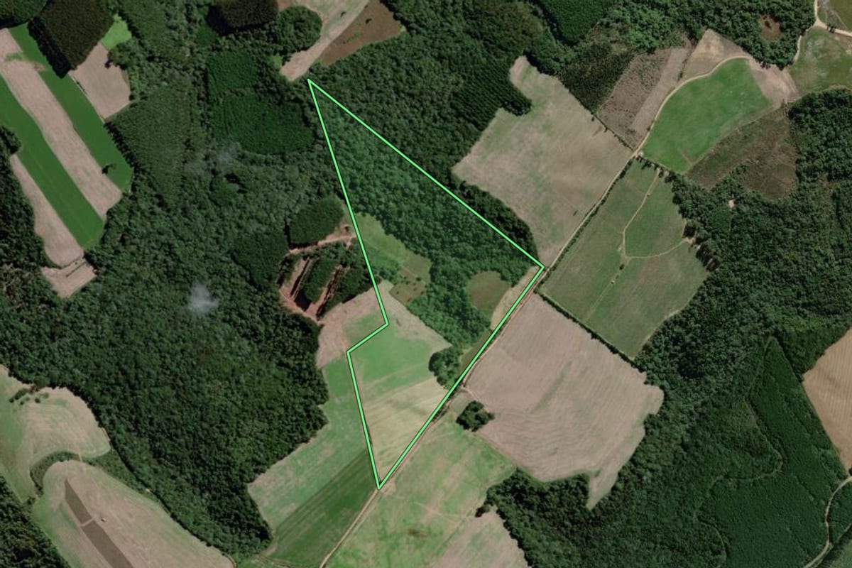 Imagem de satélite do imóvel rural em Antônio Olinto (PR), com o contorno declarado no CAR desenhado por cima.