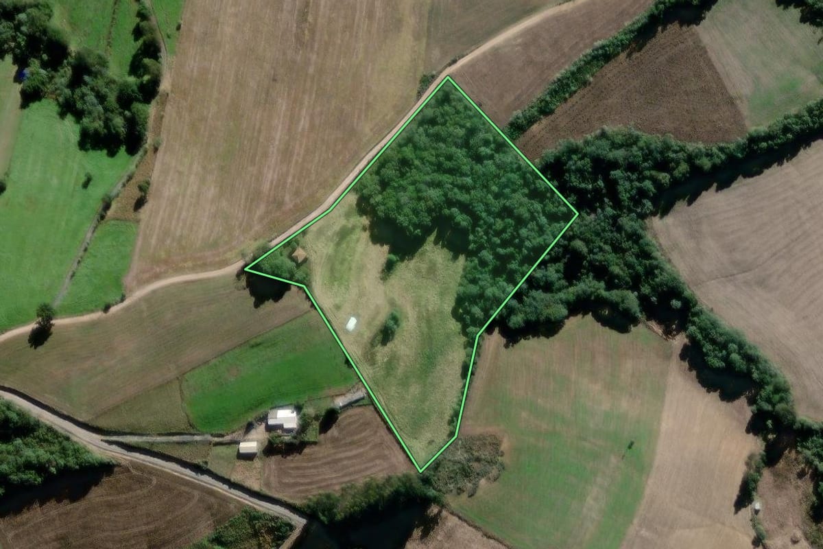 Imagem de satélite do imóvel rural em Antônio Olinto (PR), com o contorno declarado no CAR desenhado por cima.