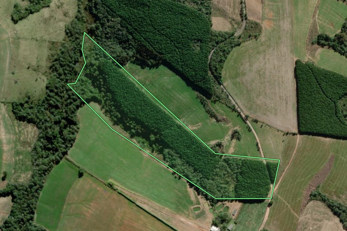 Imagem de satélite do imóvel rural em Antônio Olinto (PR), com o contorno declarado no CAR desenhado por cima.