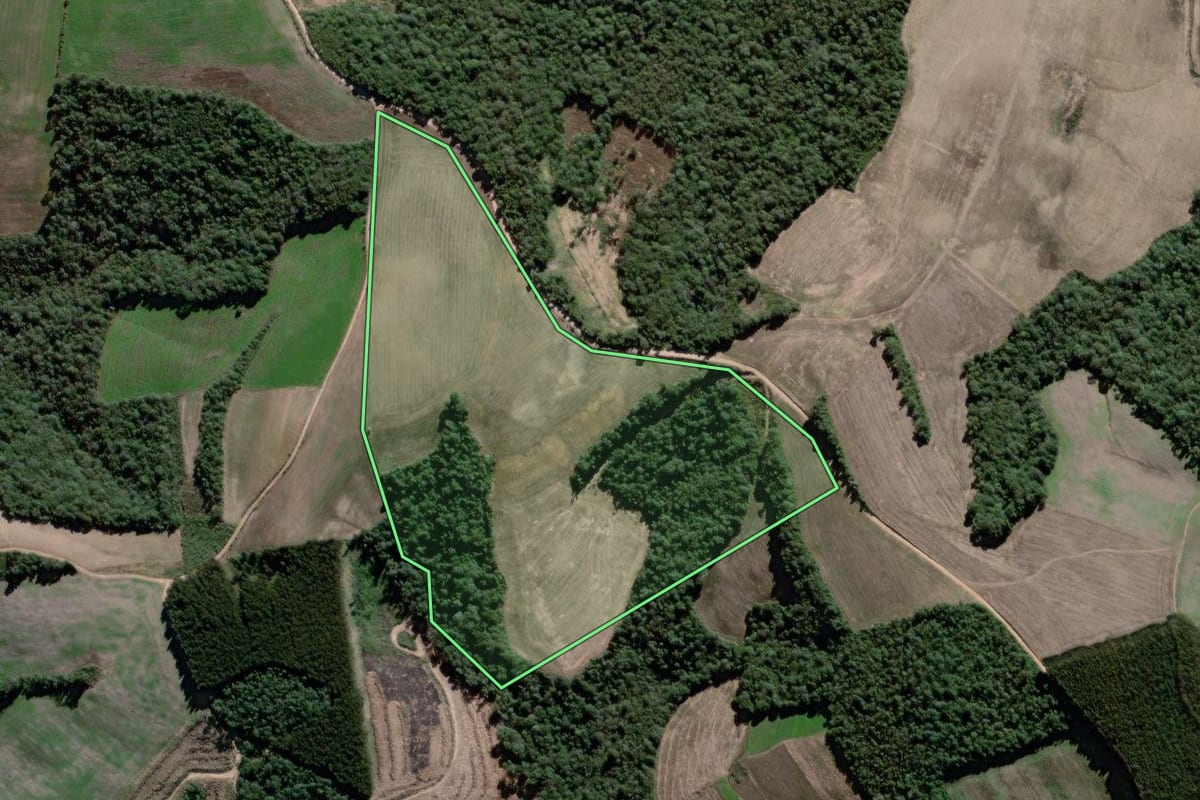 Imagem de satélite do imóvel rural em Antônio Olinto (PR), com o contorno declarado no CAR desenhado por cima.
