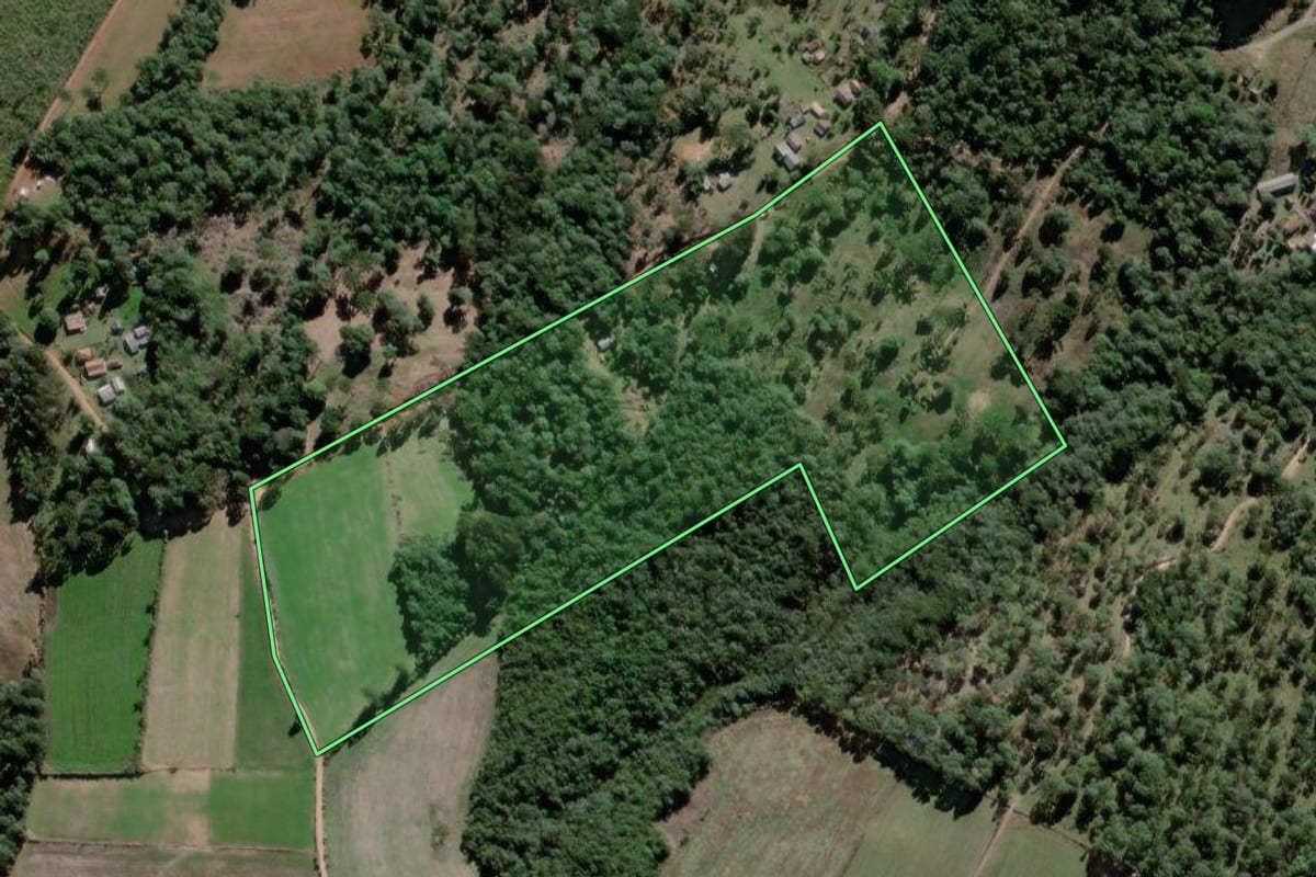 Imagem de satélite do imóvel rural em Antônio Olinto (PR), com o contorno declarado no CAR desenhado por cima.
