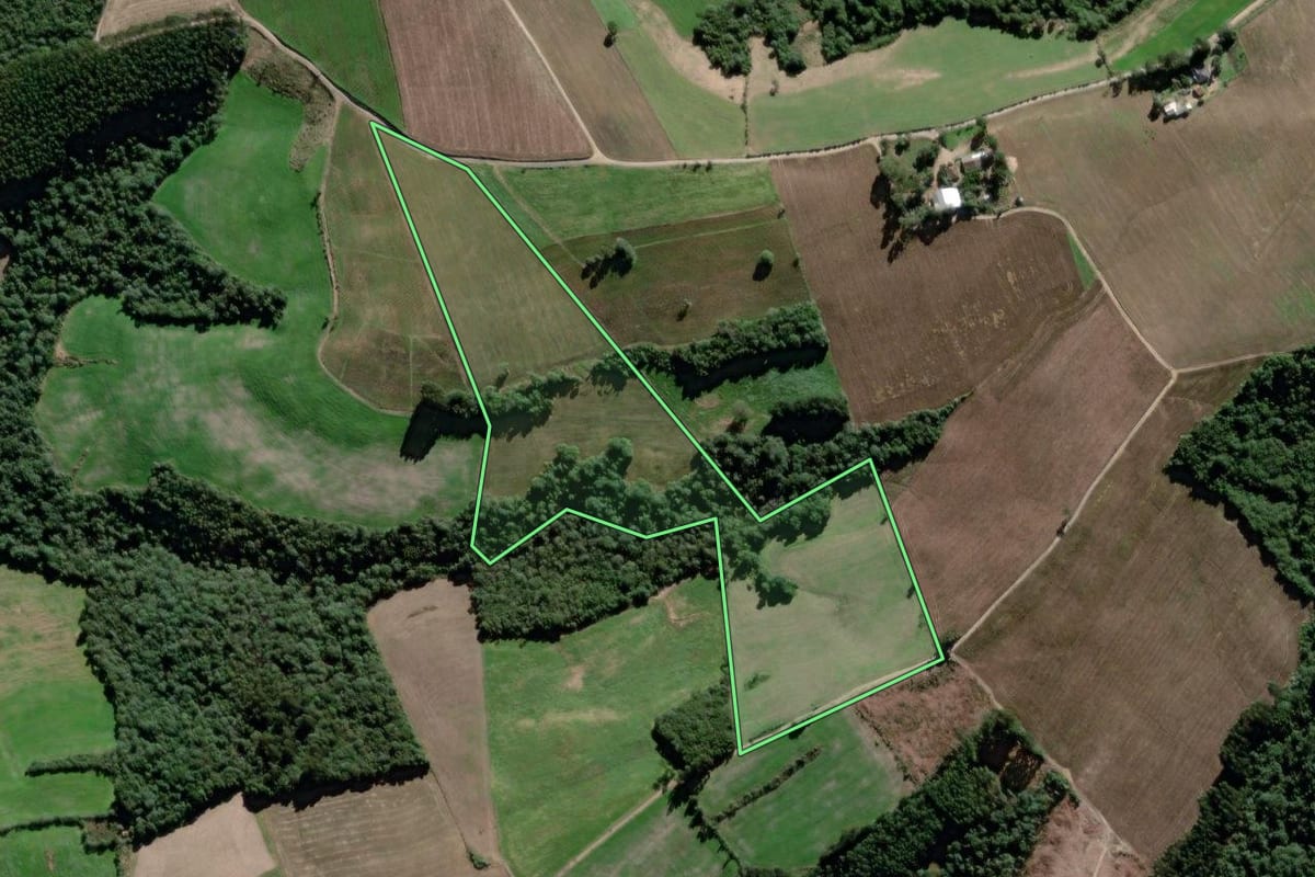 Imagem de satélite do imóvel rural em Antônio Olinto (PR), com o contorno declarado no CAR desenhado por cima.