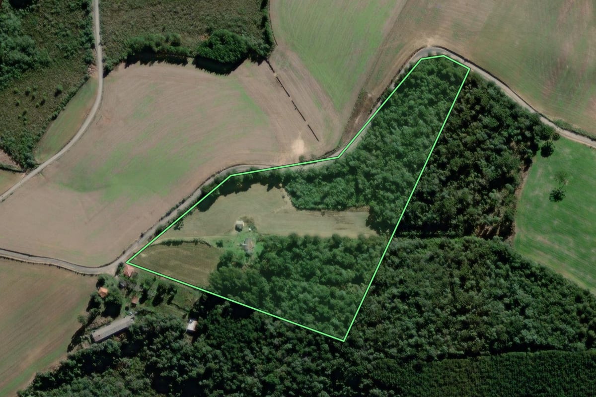 Imagem de satélite do imóvel rural em Antônio Olinto (PR), com o contorno declarado no CAR desenhado por cima.