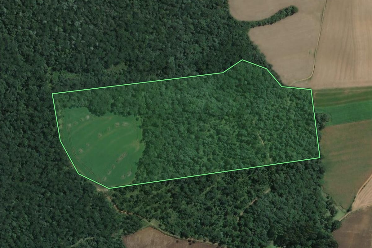Imagem de satélite do imóvel rural em Antônio Olinto (PR), com o contorno declarado no CAR desenhado por cima.
