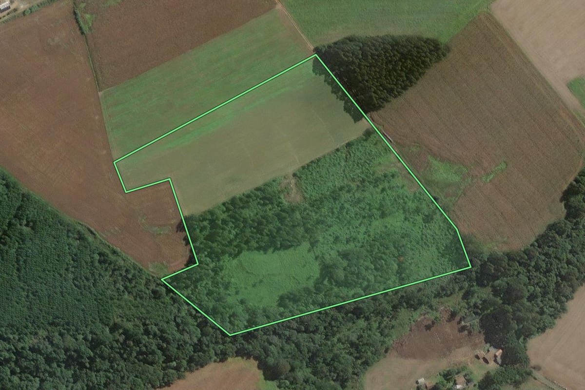 Imagem de satélite do imóvel rural em Antônio Olinto (PR), com o contorno declarado no CAR desenhado por cima.