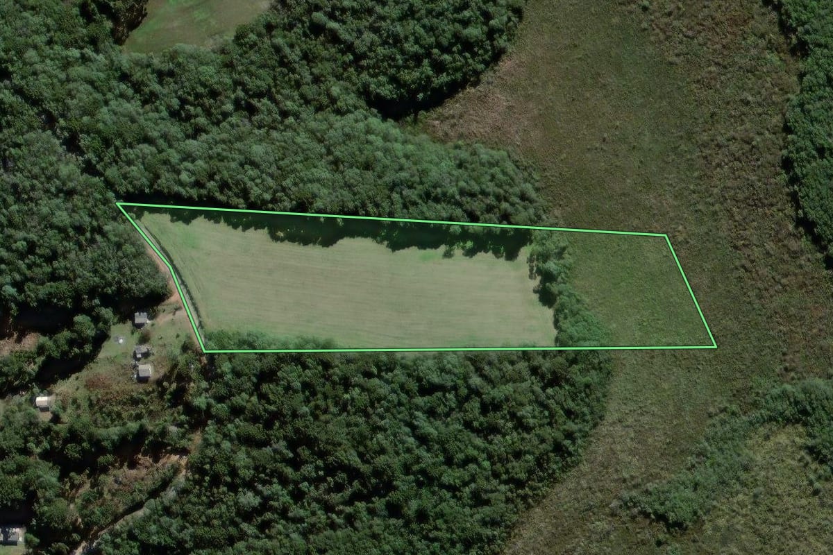 Imagem de satélite do imóvel rural em Antônio Olinto (PR), com o contorno declarado no CAR desenhado por cima.