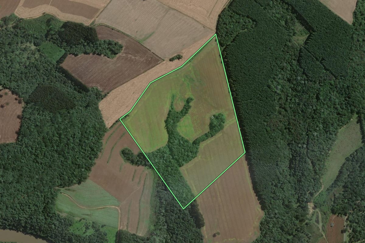 Imagem de satélite do imóvel rural em Antônio Olinto (PR), com o contorno declarado no CAR desenhado por cima.