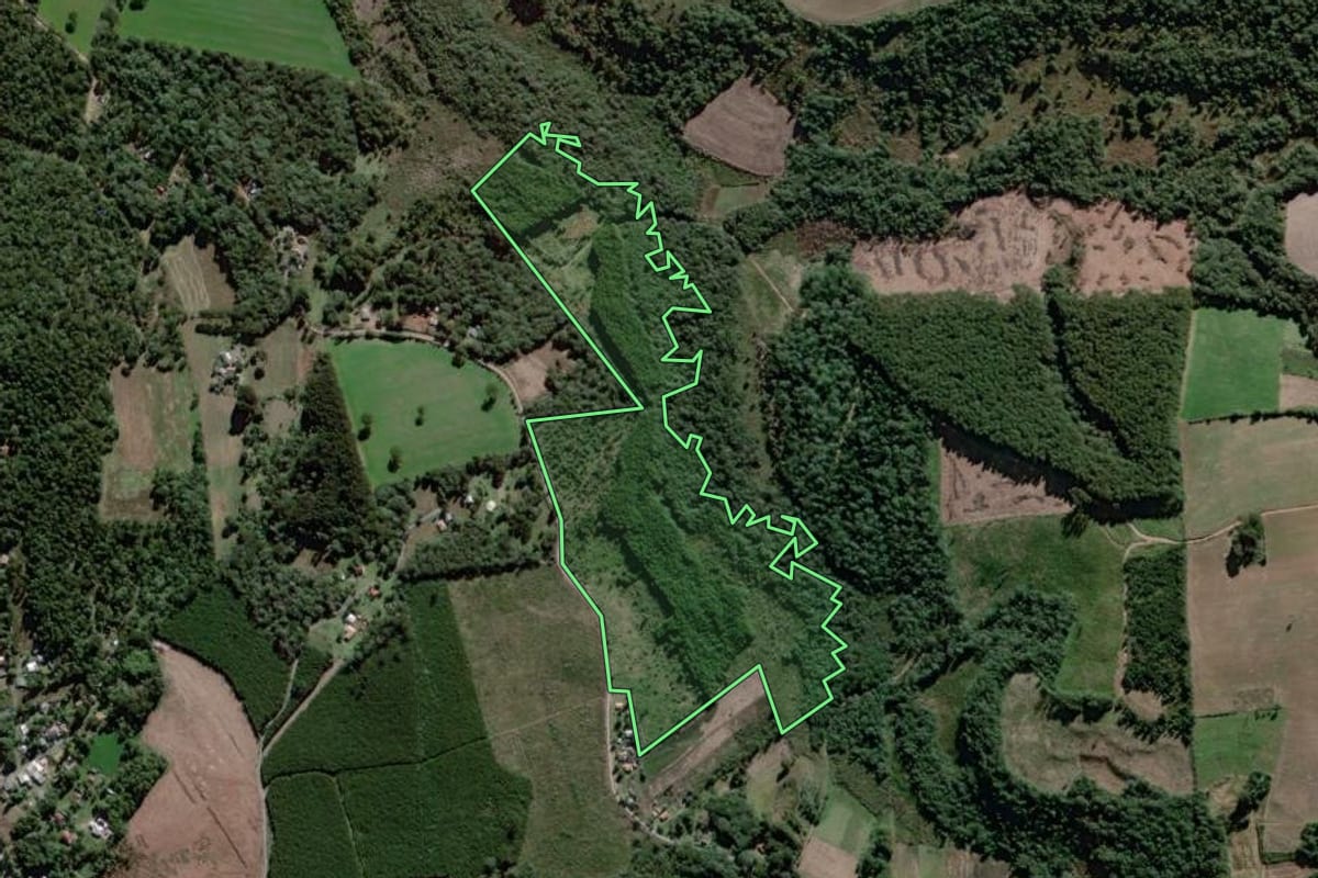 Imagem de satélite do imóvel rural em Antônio Olinto (PR), com o contorno declarado no CAR desenhado por cima.