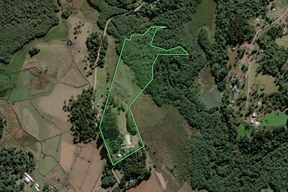 Imagem de satélite do imóvel rural em Antônio Olinto (PR), com o contorno declarado no CAR desenhado por cima.