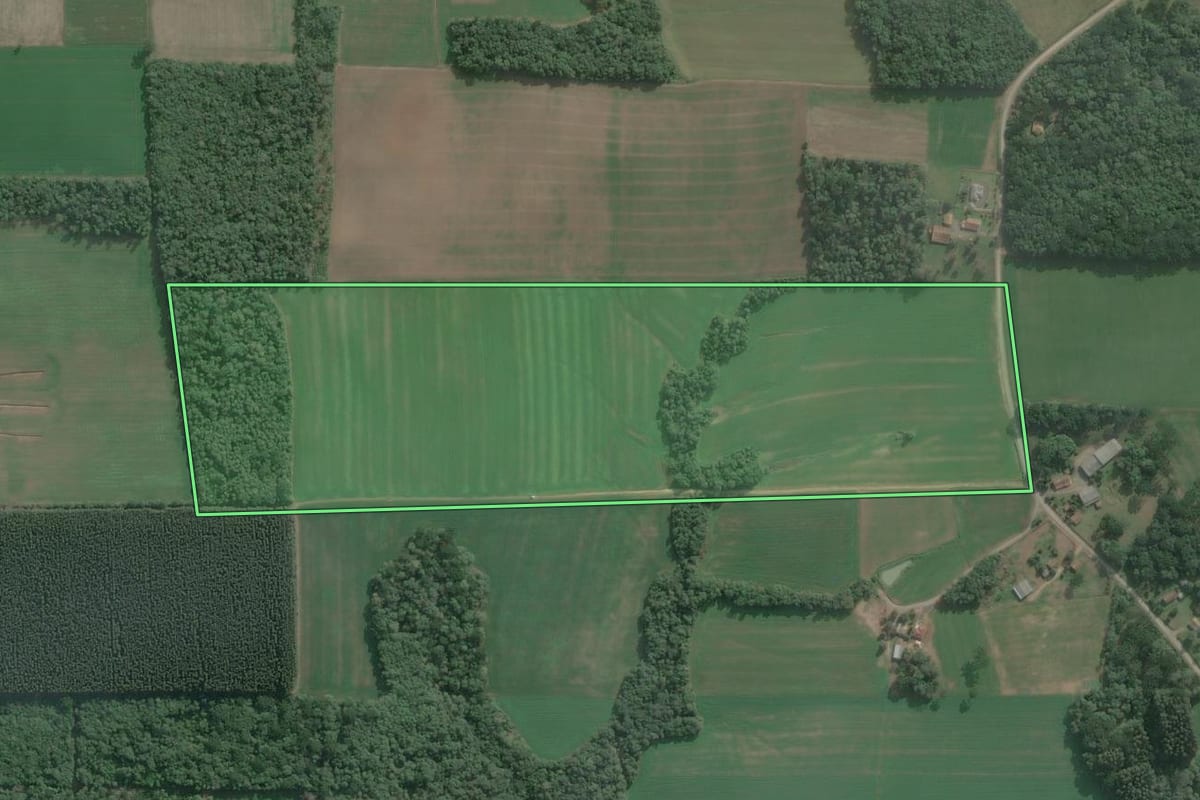 Imagem de satélite do imóvel rural em Antônio Olinto (PR), com o contorno declarado no CAR desenhado por cima.