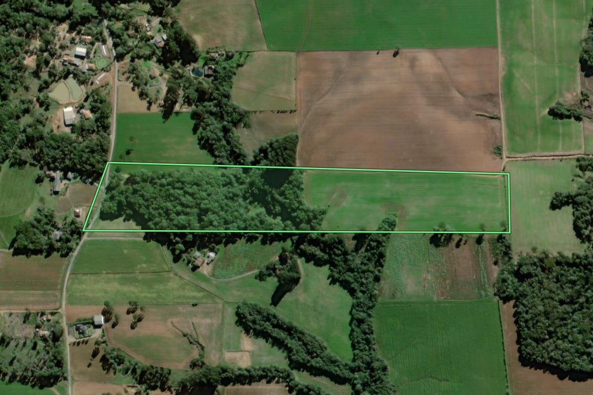 Imagem de satélite do imóvel rural em Antônio Olinto (PR), com o contorno declarado no CAR desenhado por cima.