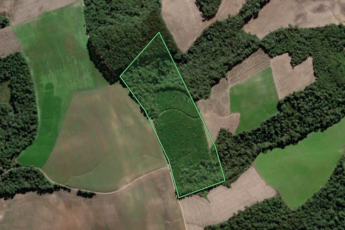 Imagem de satélite do imóvel rural em Antônio Olinto (PR), com o contorno declarado no CAR desenhado por cima.