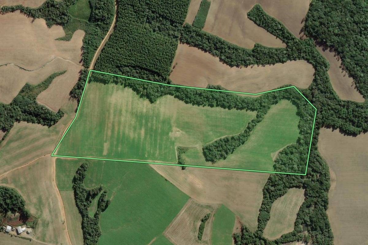 Imagem de satélite do imóvel rural em Antônio Olinto (PR), com o contorno declarado no CAR desenhado por cima.
