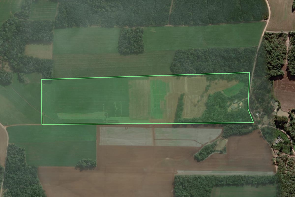 Imagem de satélite do imóvel rural em Antônio Olinto (PR), com o contorno declarado no CAR desenhado por cima.