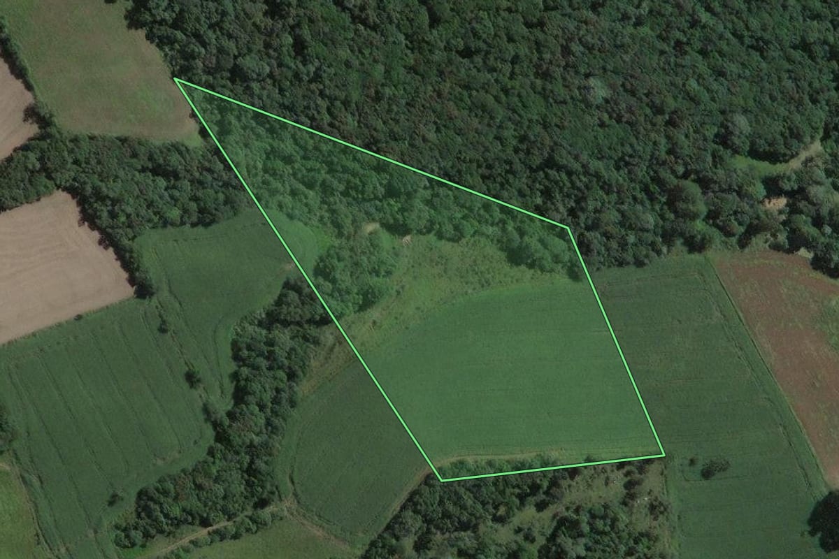 Imagem de satélite do imóvel rural em Antônio Olinto (PR), com o contorno declarado no CAR desenhado por cima.