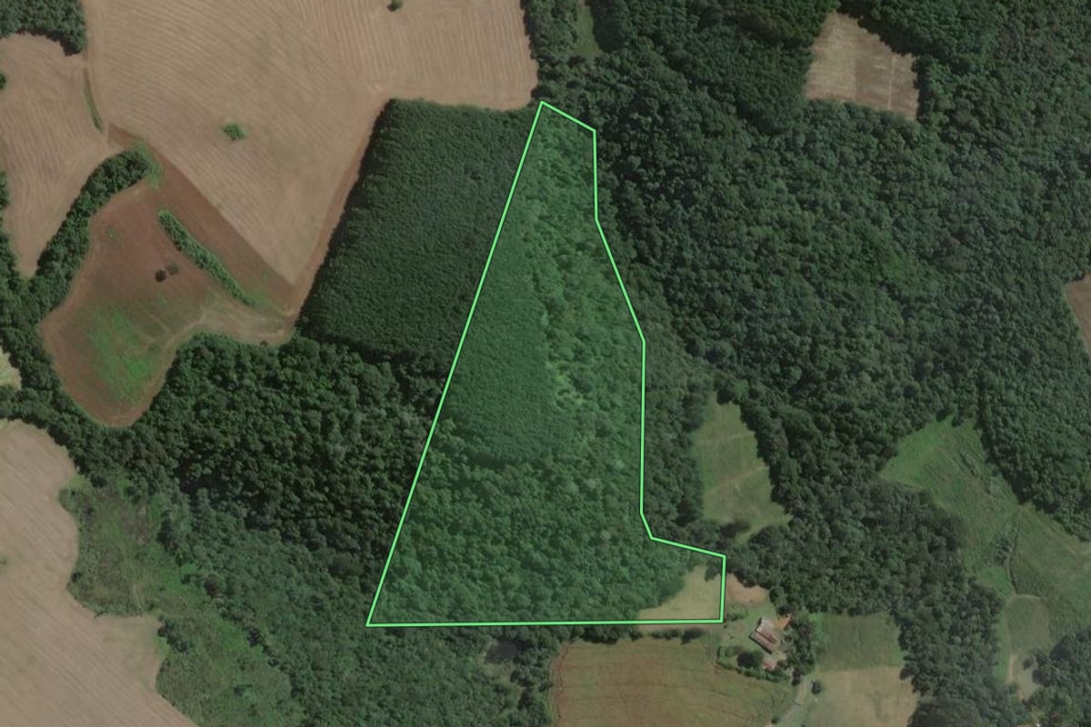 Imagem de satélite do imóvel rural em Antônio Olinto (PR), com o contorno declarado no CAR desenhado por cima.