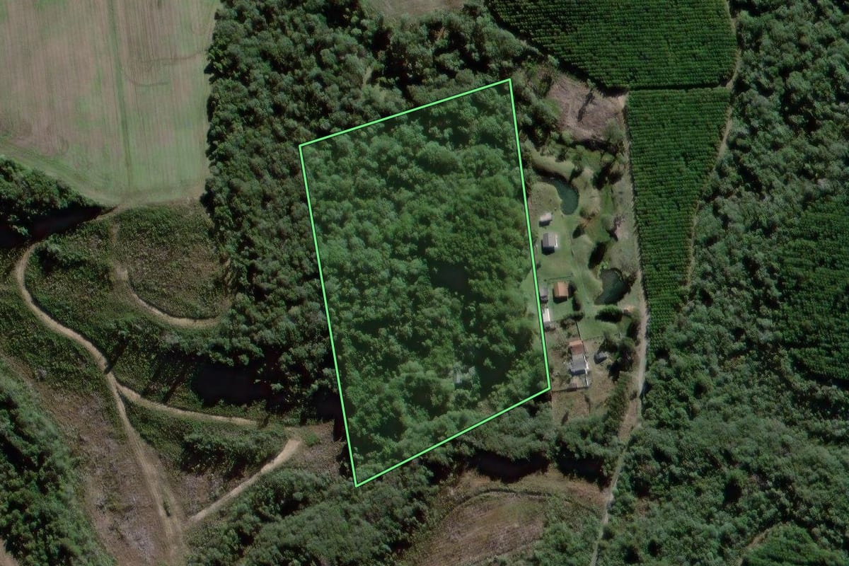Imagem de satélite do imóvel rural em Antônio Olinto (PR), com o contorno declarado no CAR desenhado por cima.