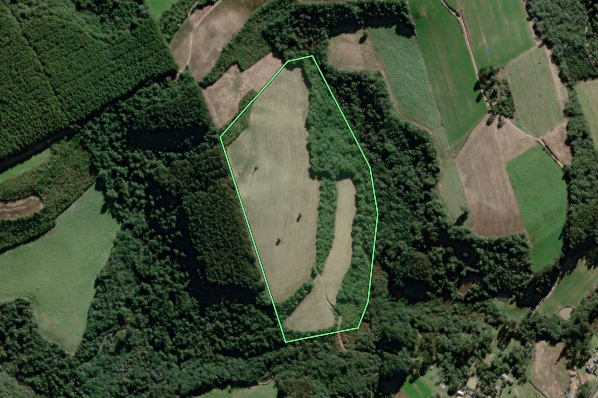 Imagem de satélite do imóvel rural em Antônio Olinto (PR), com o contorno declarado no CAR desenhado por cima.