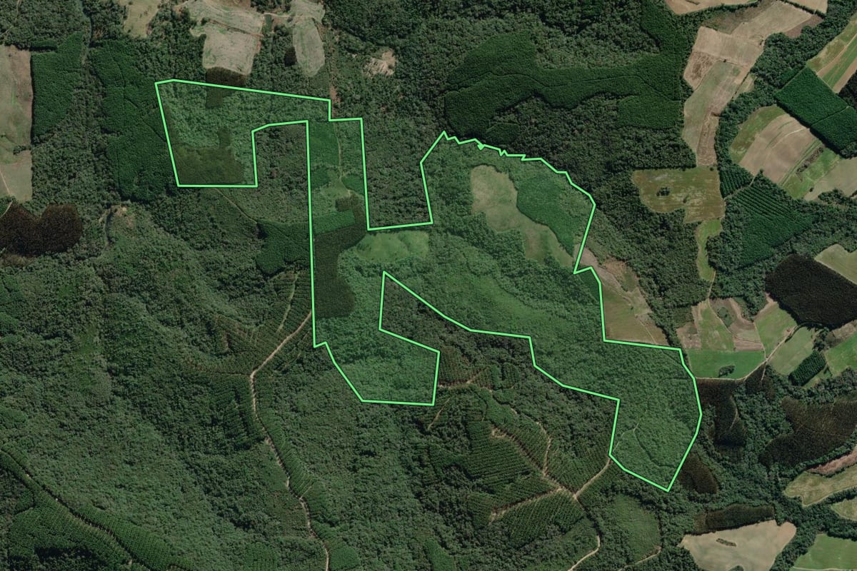 Imagem de satélite do imóvel rural em Antônio Olinto (PR), com o contorno declarado no CAR desenhado por cima.