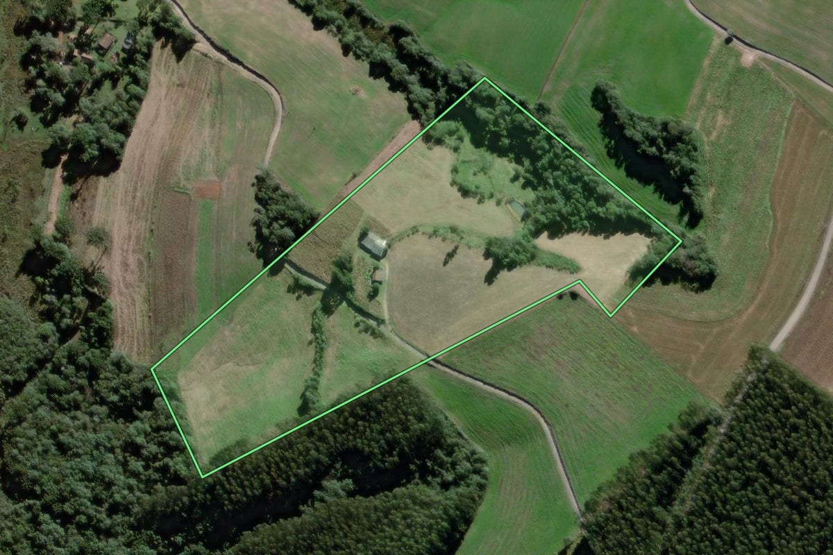 Imagem de satélite do imóvel rural em Antônio Olinto (PR), com o contorno declarado no CAR desenhado por cima.