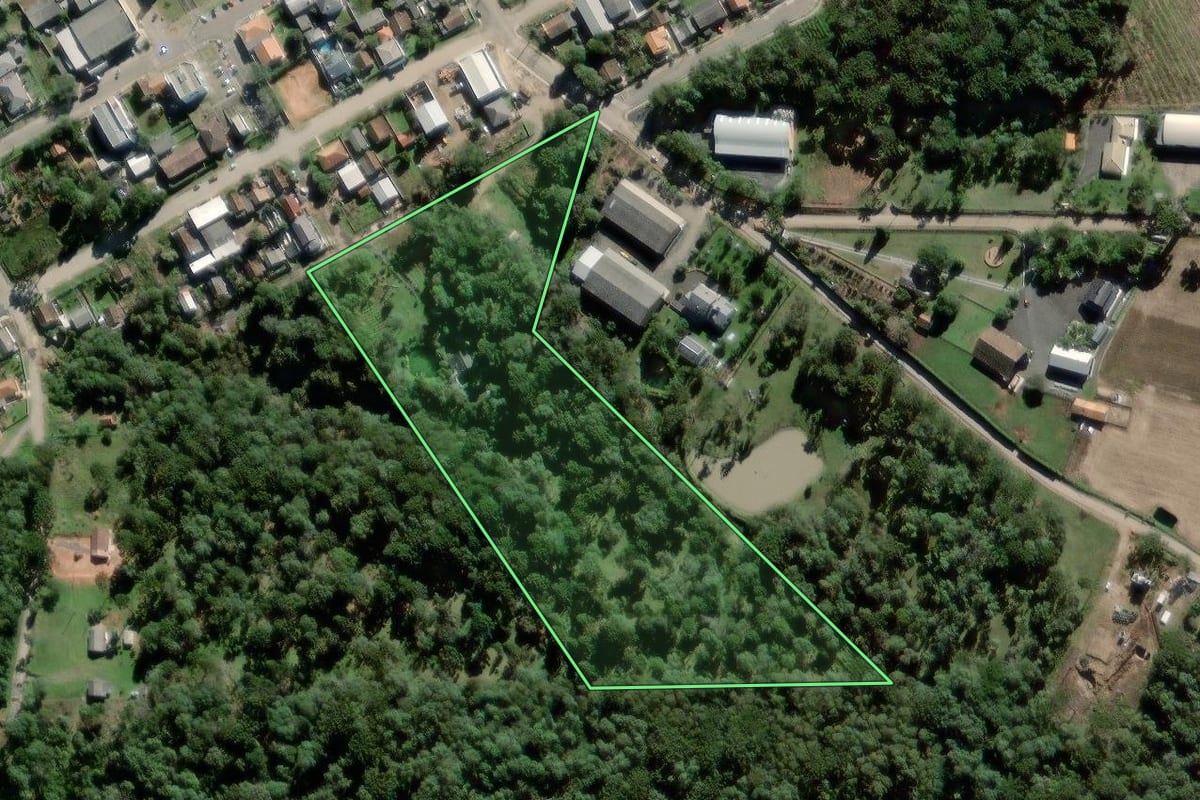 Imagem de satélite do imóvel rural em Antônio Olinto (PR), com o contorno declarado no CAR desenhado por cima.