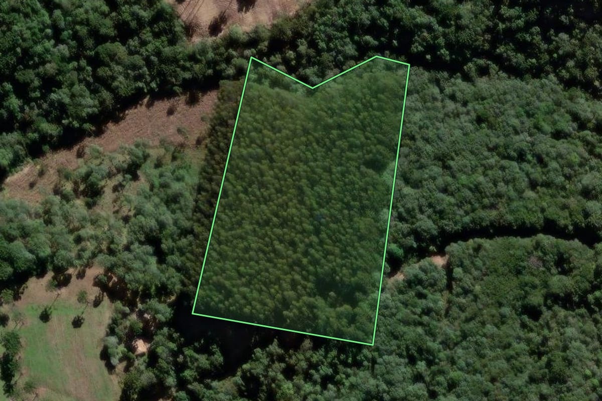 Imagem de satélite do imóvel rural em Antônio Olinto (PR), com o contorno declarado no CAR desenhado por cima.