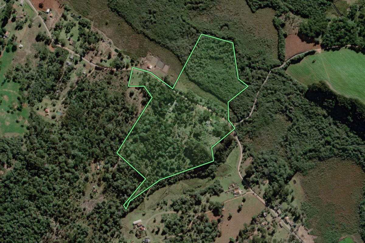 Imagem de satélite do imóvel rural em Antônio Olinto (PR), com o contorno declarado no CAR desenhado por cima.