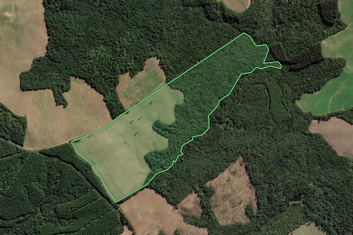 Imagem de satélite do imóvel rural em Antônio Olinto (PR), com o contorno declarado no CAR desenhado por cima.