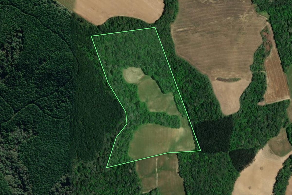 Imagem de satélite do imóvel rural em Antônio Olinto (PR), com o contorno declarado no CAR desenhado por cima.