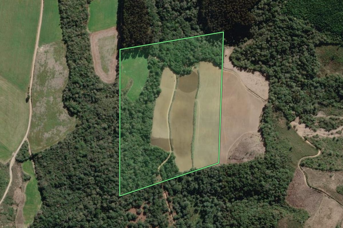 Imagem de satélite do imóvel rural em Antônio Olinto (PR), com o contorno declarado no CAR desenhado por cima.