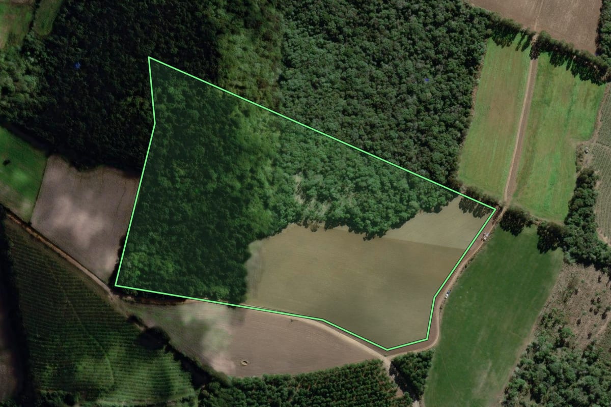 Imagem de satélite do imóvel rural em Antônio Olinto (PR), com o contorno declarado no CAR desenhado por cima.