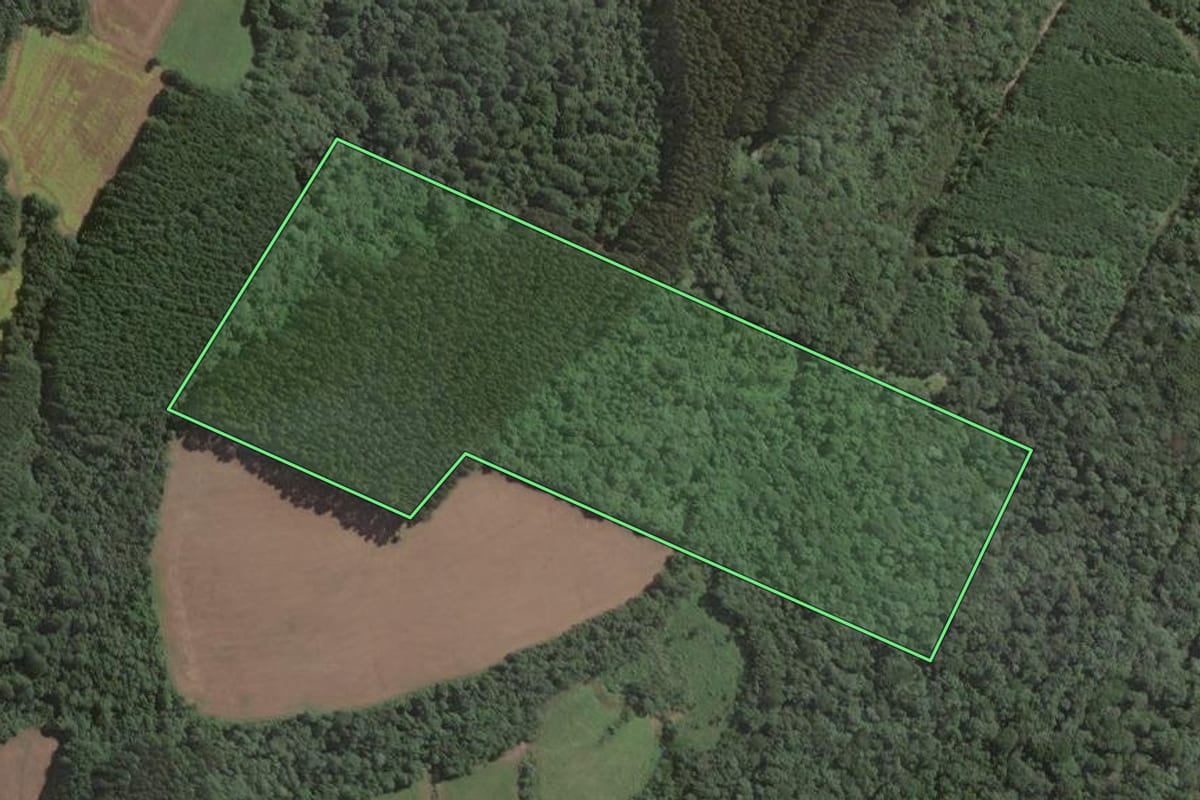 Imagem de satélite do imóvel rural em Antônio Olinto (PR), com o contorno declarado no CAR desenhado por cima.