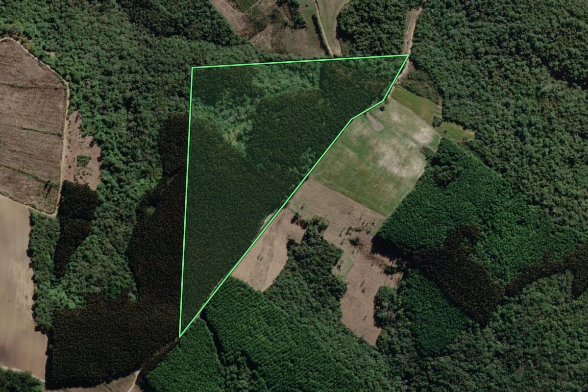 Imagem de satélite do imóvel rural em Antônio Olinto (PR), com o contorno declarado no CAR desenhado por cima.