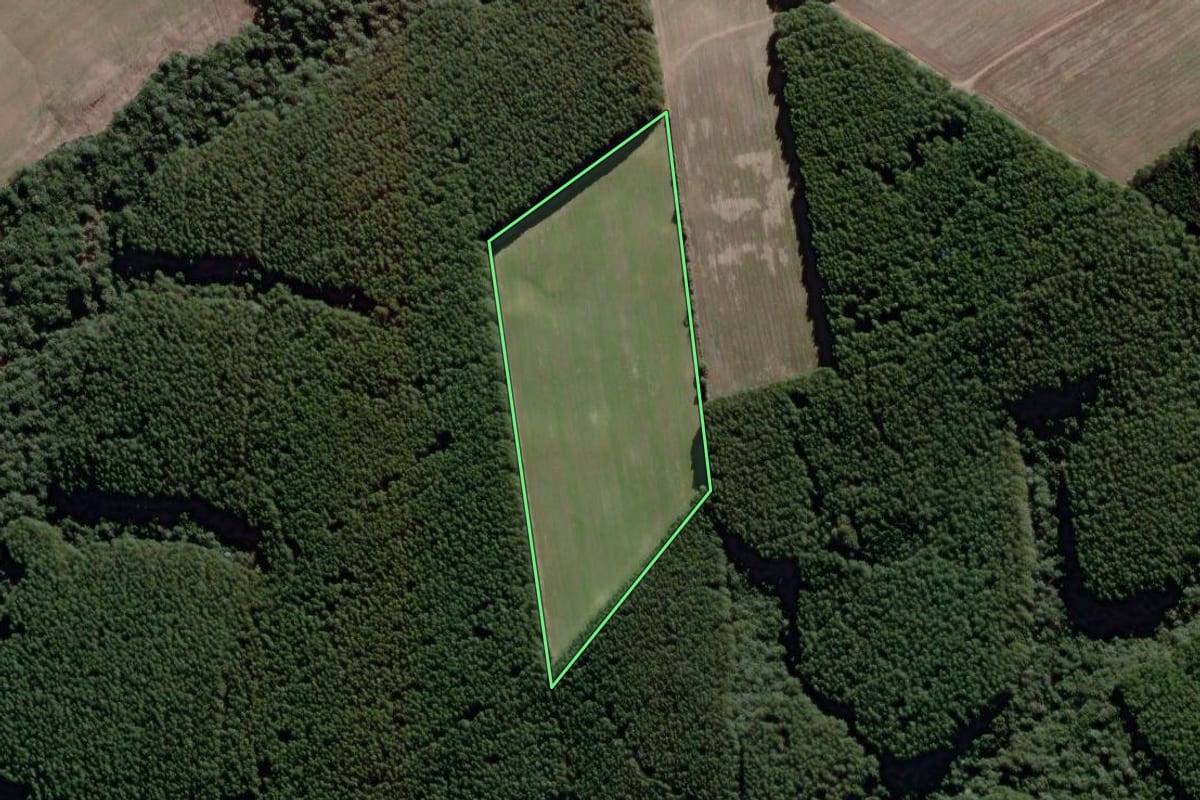 Imagem de satélite do imóvel rural em Antônio Olinto (PR), com o contorno declarado no CAR desenhado por cima.