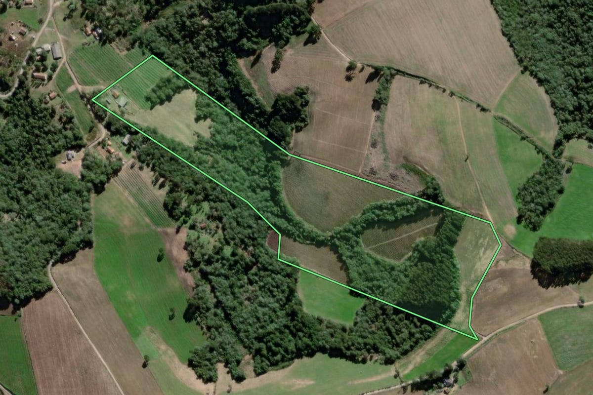 Imagem de satélite do imóvel rural em Antônio Olinto (PR), com o contorno declarado no CAR desenhado por cima.